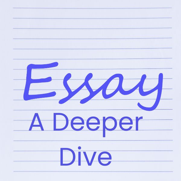 Five-Paragraph Essay Basics – A Deeper Dive